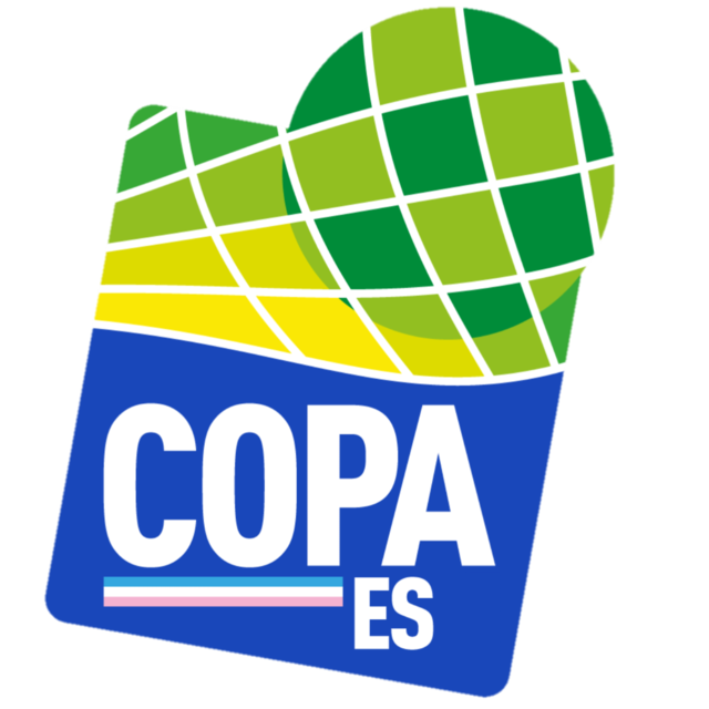 Prediction Porto Vitoria vs Serra Talhada PE: Brazil - Copa Espírito Santo