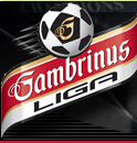 /images/logos/league/cze-gamb