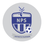 Ngezi Platinum FC