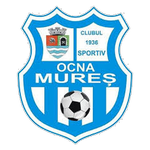 Ocna Mures