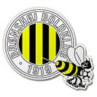 Bronshoj
